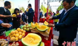 最新吃瓜爆料免费观看开平,免费观看开平最新吃瓜爆料，独家内容等你来探秘！