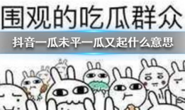 抖音关于吃瓜爆料梗,揭秘网络热点背后的真相