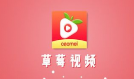 草莓视频在线,带你探索短视频世界的无限魅力